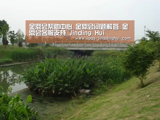 案例展示四